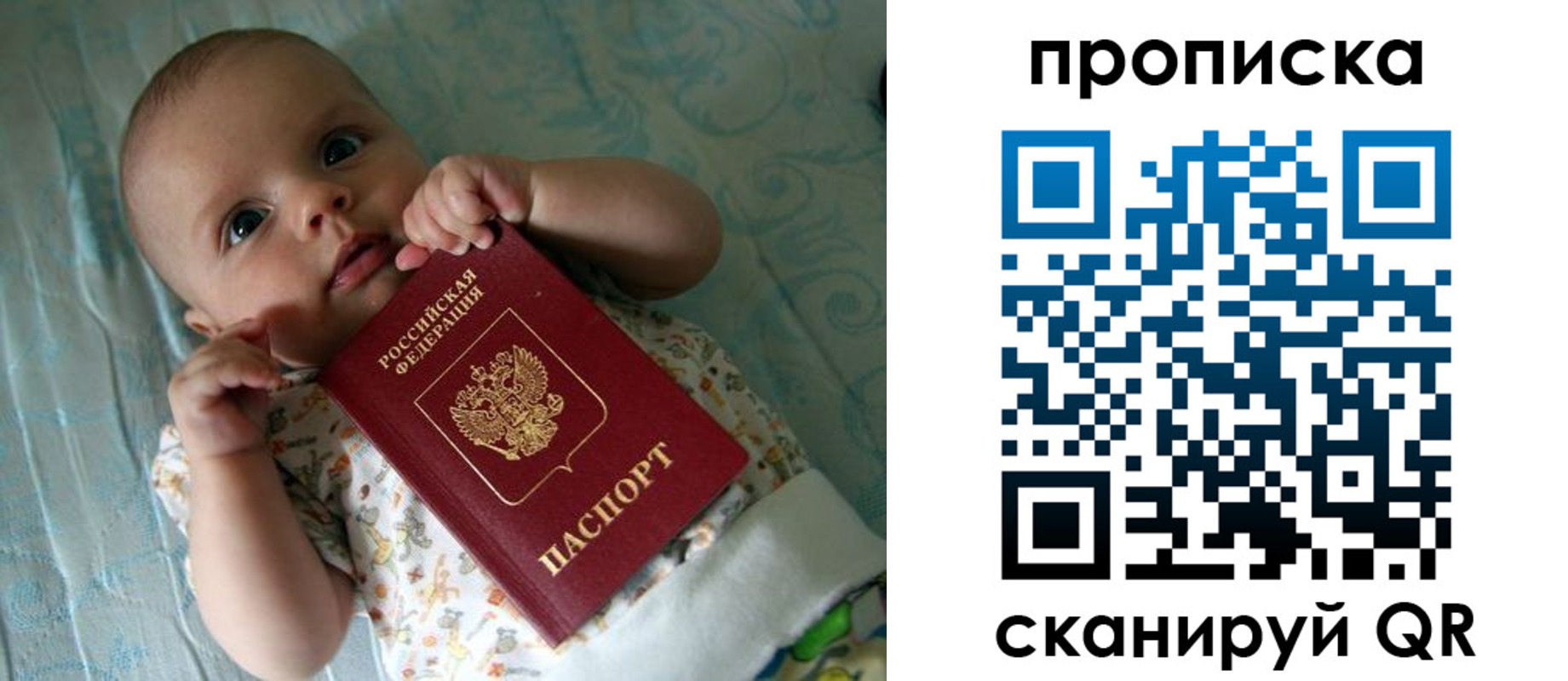 прописка поиск в Сертолово